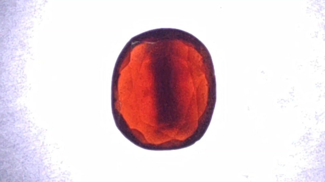 GROSSULARITE (GOMED)