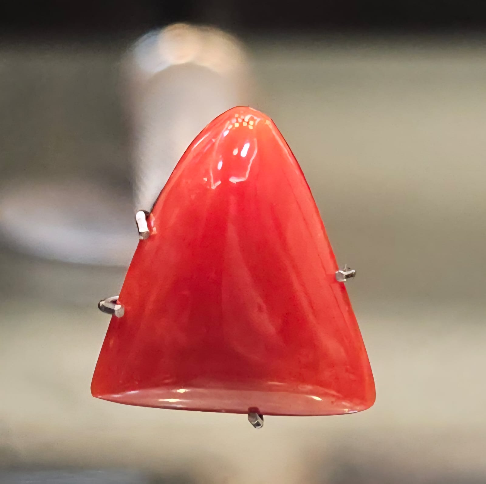 CORAL (MOONGA ) TRIANGLE